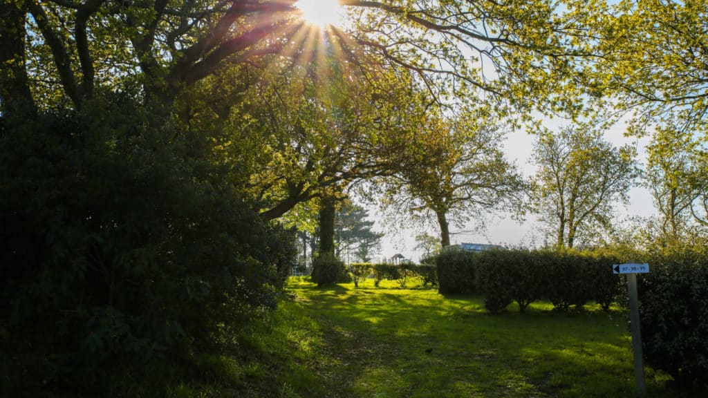 Emplacements tentes caravane camping car Camping La Foret Fouesnant Concarneau Les Falaises 17 - Emplacements - Quimper Brest