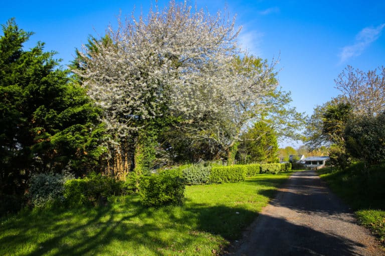 Emplacements tentes caravane camping-car Camping La Forêt-Fouesnant Concarneau Les Falaises (8)